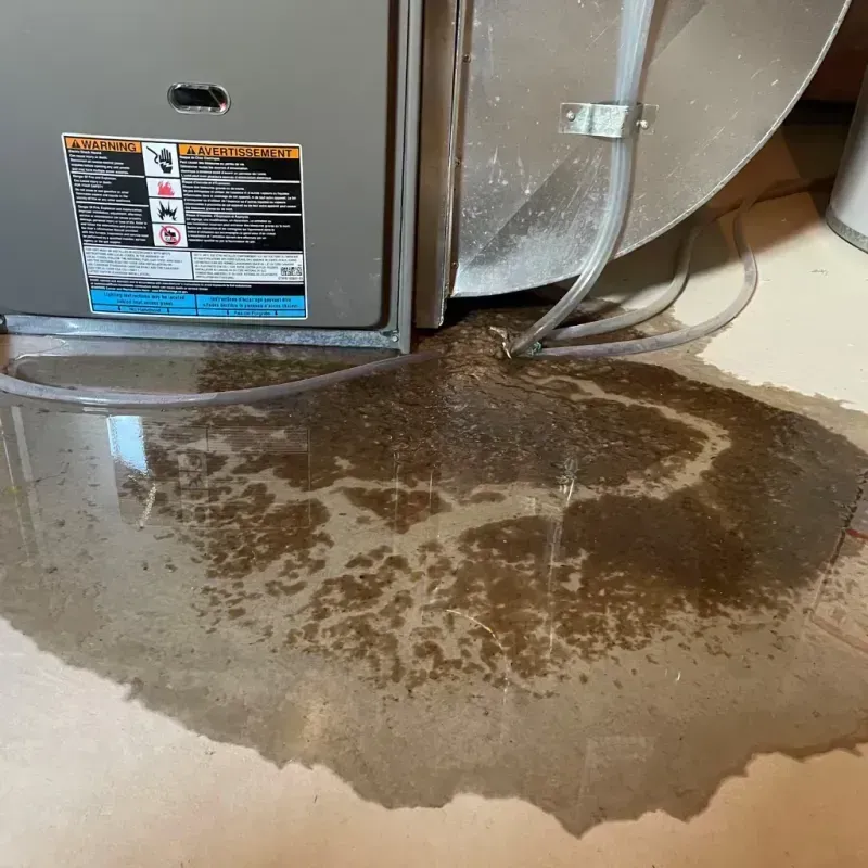 Appliance Leak Cleanup in Princeton, FL